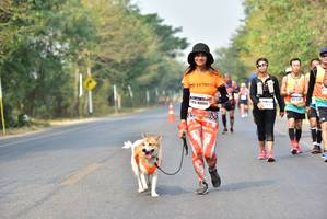 BIB: 40059
                            <button type="button" onclick="openModal(10196303)" class="btn btn-primary btn-sm float-right btn-popup" data-toggle="modal" data-target=".modal-high-quality">
                        <i class="fas fa-shopping-cart"></i> Add to Cart
                    </button>
                                            <button type="button" onclick="isThisMe(10196303, true)" class="btn btn-success btn-sm float-right btn-popup btn-isme hidden" data-toggle="tooltip" data-placement="bottom" title="นี่คือรูปของคุณใช่ไหม คลิกที่นี่เพื่อเอาเข้าอัลบั้ม">
                        <i class="fas fa-plus"></i> Add to album
                    </button>
                    <button type="button" onclick="isThisMe(10196303, false)" class="btn btn-warning btn-sm float-right btn-popup btn-isnotme hidden">
                        <i class="fas fa-ban"></i> Remove from album
                    </button>